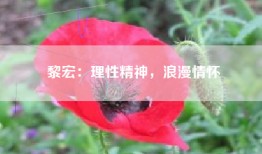 黎宏：理性精神，浪漫情怀