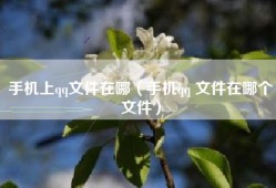 手机上qq文件在哪（手机qq 文件在哪个文件）