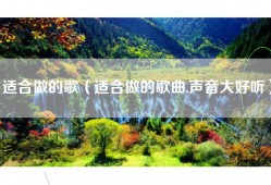 适合做的歌（适合做的歌曲,声音大好听）