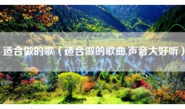 适合做的歌（适合做的歌曲,声音大好听）
