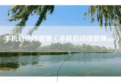 手机启动项管理（手机启动项管理app）