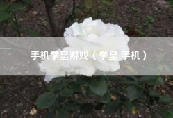 手机拳皇游戏（拳皇 手机）
