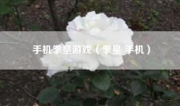 手机拳皇游戏（拳皇 手机）