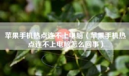 苹果手机热点连不上电脑（苹果手机热点连不上电脑怎么回事）