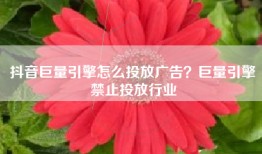 抖音巨量引擎怎么投放广告？巨量引擎禁止投放行业