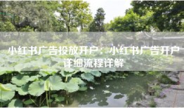 小红书广告投放开户：小红书广告开户详细流程详解