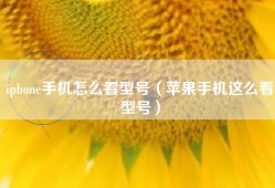 iphone手机怎么看型号（苹果手机这么看型号）
