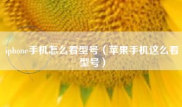 iphone手机怎么看型号（苹果手机这么看型号）