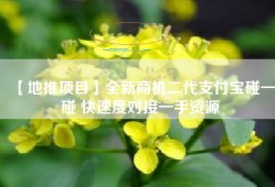 【地推项目】全新商机二代支付宝碰一碰 快速度对接一手资源