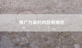 推广方案的内容有哪些