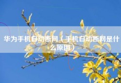 华为手机自动断网（手机自动断网是什么原因）