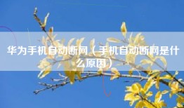华为手机自动断网（手机自动断网是什么原因）