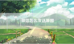 微信怎么发送原图
