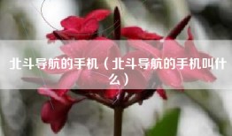 北斗导航的手机（北斗导航的手机叫什么）