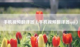 手机视频翻译器（手机视频翻译器app）