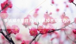 手机掉水里咋办（手机掉水里咋办？）