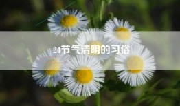 24节气清明的习俗