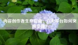 内容创作者生存指南：六大平台如何突围变现？