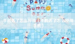 手机丢了怎么停机（手机丢了怎么停用手机）