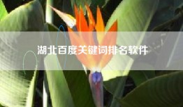 湖北百度关键词排名软件