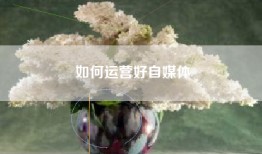 如何运营好自媒体
