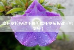 摩托罗拉按键手机（摩托罗拉按键手机型号）