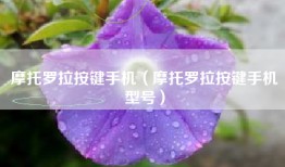 摩托罗拉按键手机（摩托罗拉按键手机型号）