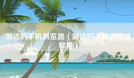 简洁的手机浏览器（简洁的手机浏览器软件）