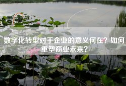 数字化转型对于企业的意义何在？如何重塑商业未来？