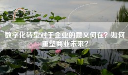 数字化转型对于企业的意义何在？如何重塑商业未来？