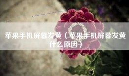 苹果手机屏幕发黄（苹果手机屏幕发黄什么原因）