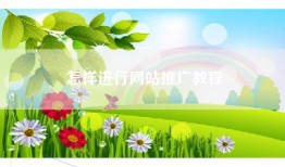 怎样进行网站推广教程