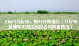 了解百度权重，提升网站排名（从权重基础知识到提高排名的实用技巧）