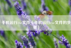 手机运行exe文件（手机运行exe文件的步骤）