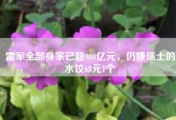 雷军全部身家已超900亿元，仍嫌瑞士的水饺68元1个