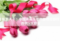 解密天下：中国未来十年内最稳定最吃香的10大职业
