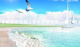 手机收银系统（手机收银系统app哪个好）