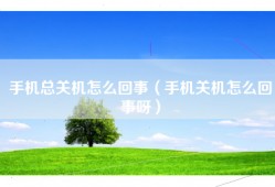 手机总关机怎么回事（手机关机怎么回事呀）
