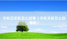 手机总关机怎么回事（手机关机怎么回事呀）