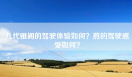 九代雅阁的驾驶体验如何？燕的驾驶感受如何？