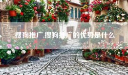 搜狗推广,搜狗推广的优势是什么