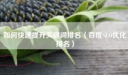 如何快速提升关键词排名（百度SEO优化排名）