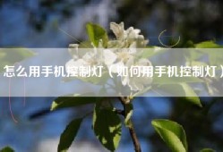 怎么用手机控制灯（如何用手机控制灯）