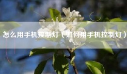 怎么用手机控制灯（如何用手机控制灯）
