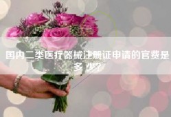 国内二类医疗器械注册证申请的官费是多 少？