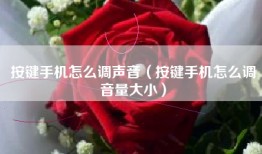 按键手机怎么调声音（按键手机怎么调音量大小）