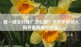 碰一碰支付推广怎么做？手把手教你入局并提高最终收益！