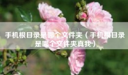 手机根目录是哪个文件夹（手机根目录是哪个文件夹真我）