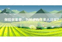 保险很重要，为啥还有许多人没买？