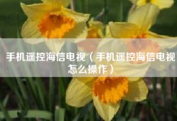 手机遥控海信电视（手机遥控海信电视怎么操作）